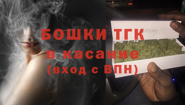 стафф Аркадак