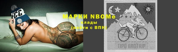 стафф Аркадак